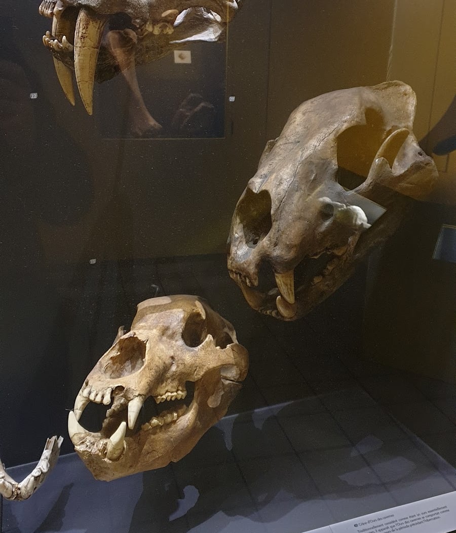 Natural History Museum 3